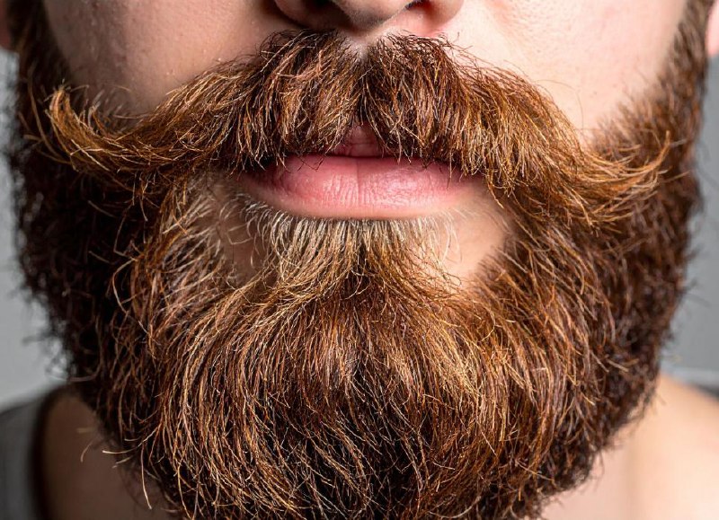 Артем Волков Portfolio 6