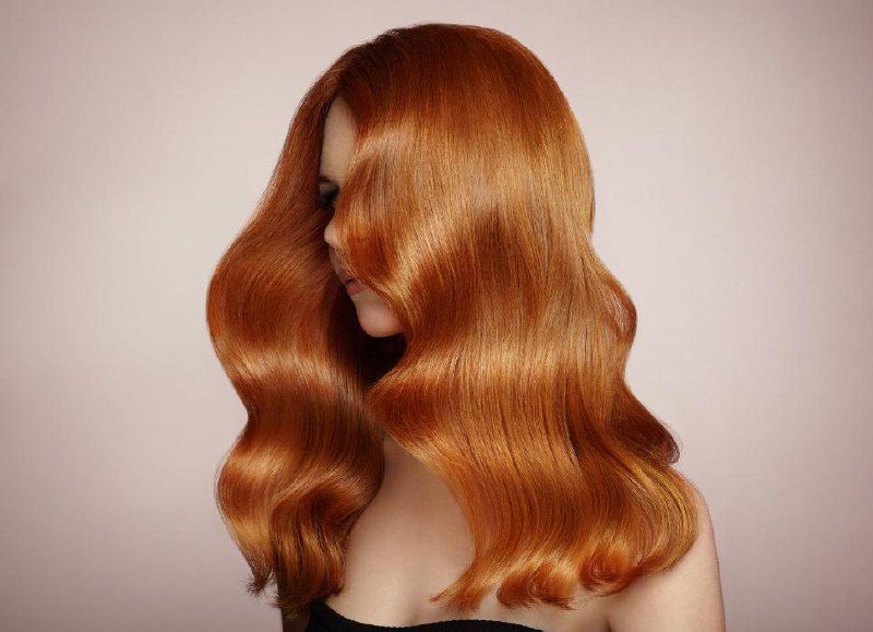 Елена Соколова Portfolio 10